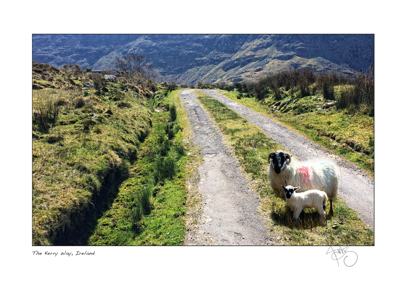 24. The Kerry Way, Ireland