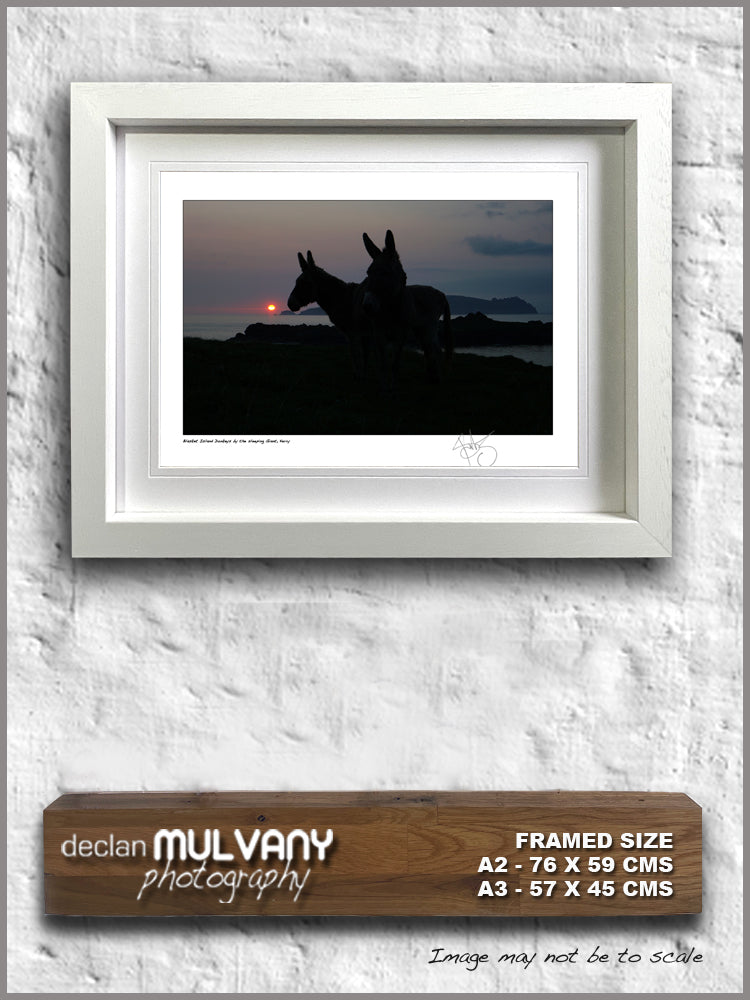 Blasket island donkeys by the sleeping giant dingle declan mulvany images of ireland
