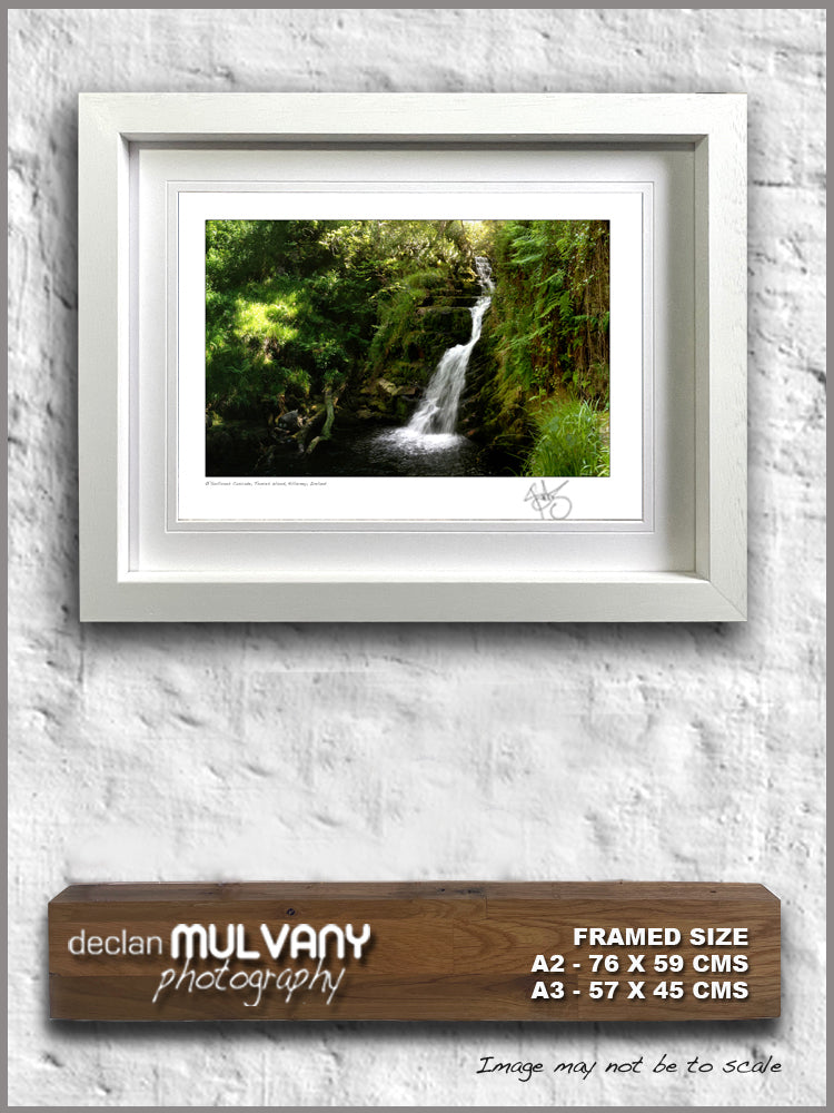 OSullivans cascade tomies wood killarney National Park kerry ireland declan mulvany photography images of ireland