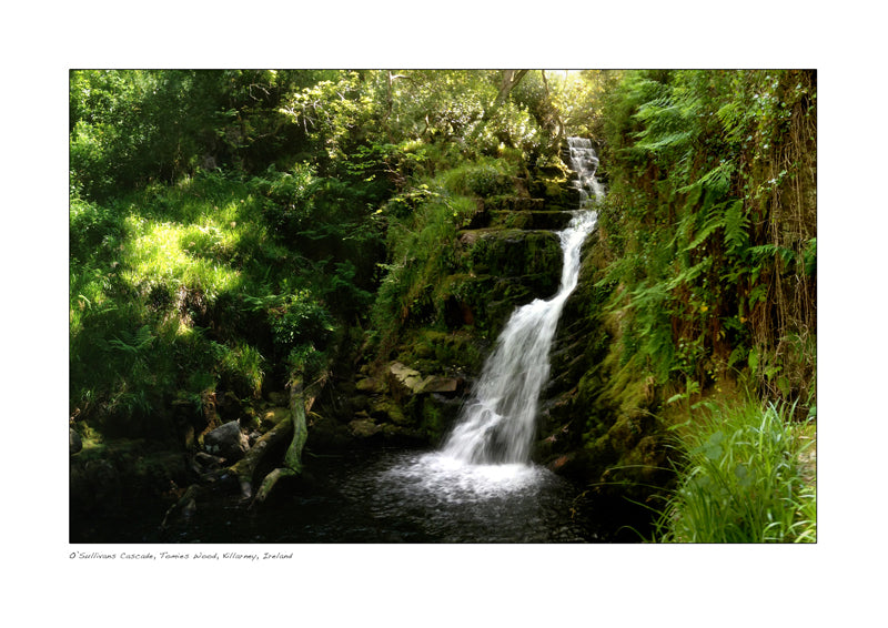 OSullivans cascade tomies wood killarney National Park kerry ireland declan mulvany photography images of ireland