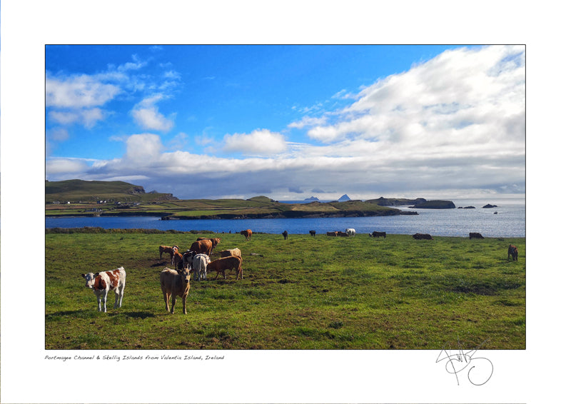 Portmagee skellig michael valentia island declan mulvany images of ireland