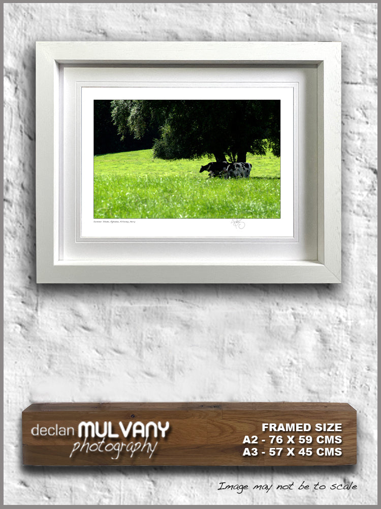 Summer shade aghadoe killarney declan mulvany images of ireland