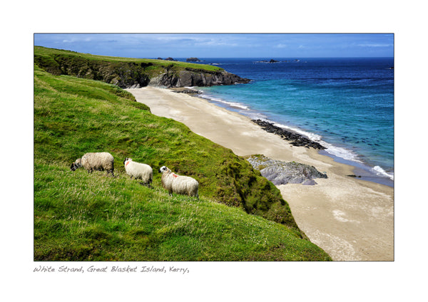 White Strand Blasket Islands Declan Mulvany Photography