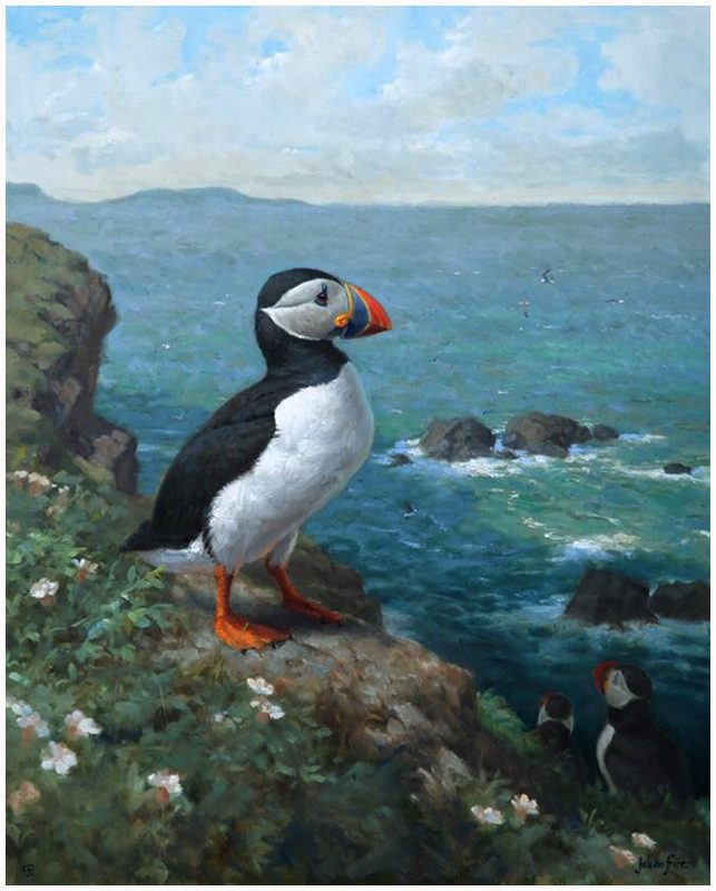 Know Your Puffins  Smithsonian Ocean