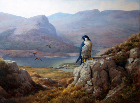Julian Friers Paintings peregrine