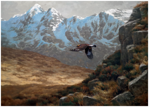 JULIAN FRIERS RUA - Golden Eagle, Isle of Skye