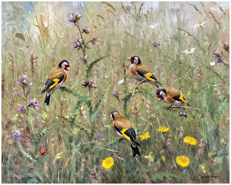 Goldfinches - JULIAN FRIERS PPRUA