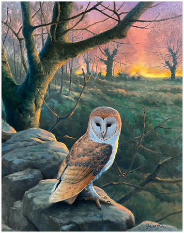 Barn owl at dusk - JULIAN FRIERS PPRUA