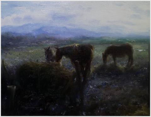 PAUL KELLY - Ponies Evening light