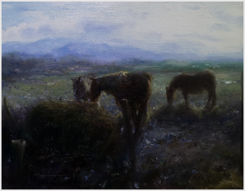 PAUL KELLY - Ponies Evening light