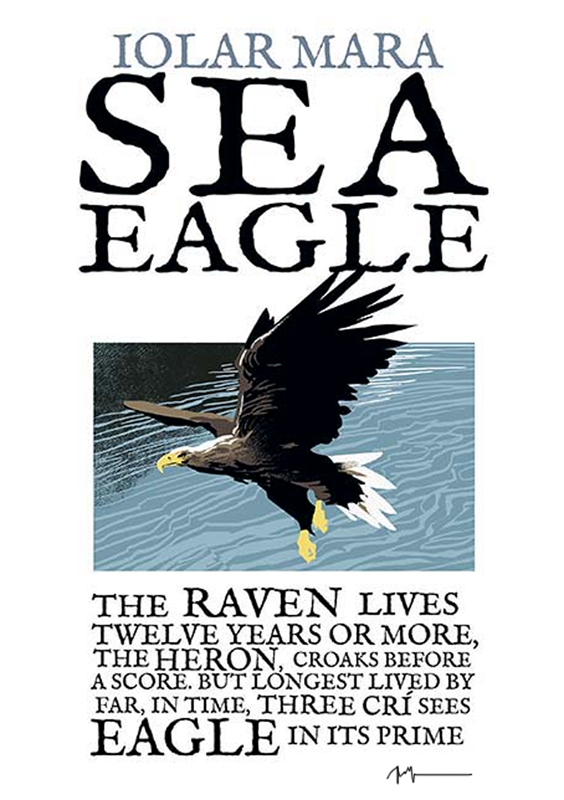 The Sea Eagle - Irish Birds
