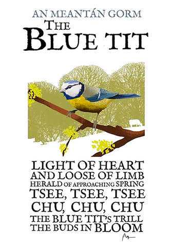 Blue Tit Birds of Ireland Roger O'Reilly Ireland poster Store