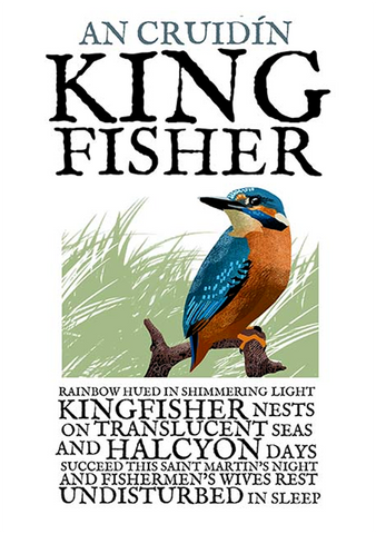 Kingfisher - Irish Birds