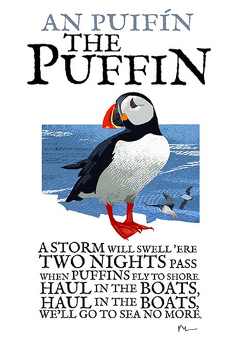 Puffin Skellig Michael Birds of Ireland Roger O'Reilly Ireland poster Store