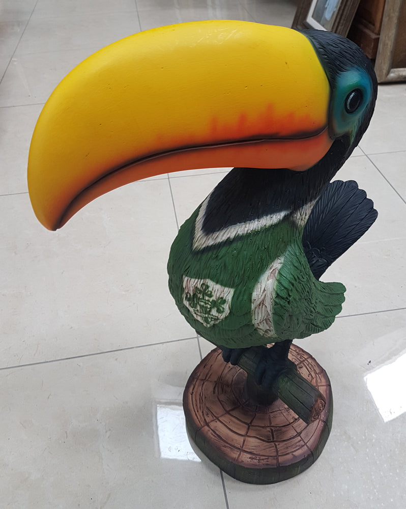 Large Toucan
